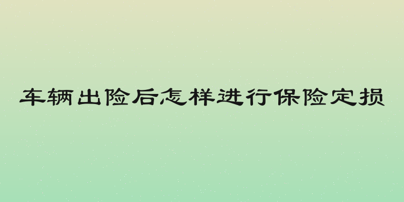 车辆出险后怎样进行保险定损