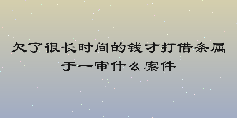 欠了很长时间的钱才打借条属于一审什么案件