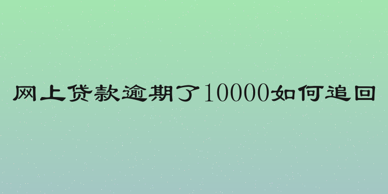 网上贷款逾期了10000如何追回