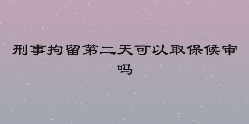 刑事拘留第二天可以取保候审吗