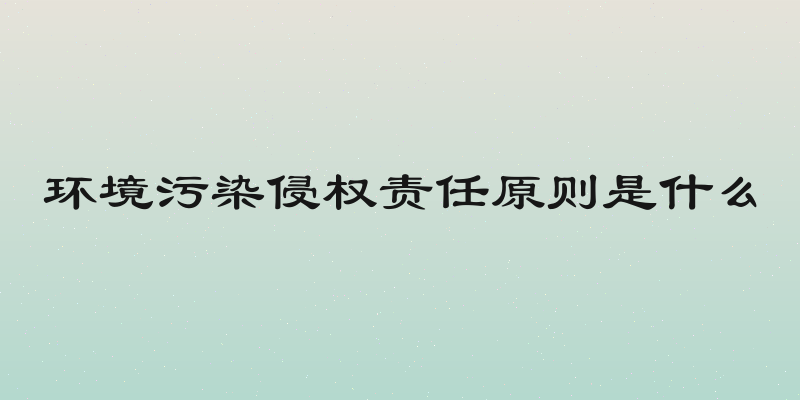 环境污染侵权责任原则是什么