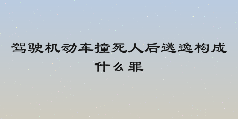驾驶机动车撞死人后逃逸构成什么罪