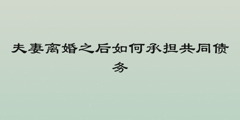 夫妻离婚之后如何承担共同债务