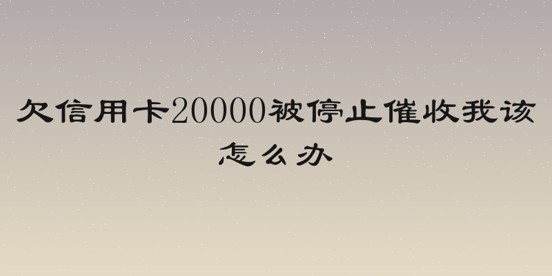 欠信用卡20000被停止催收我该怎么办