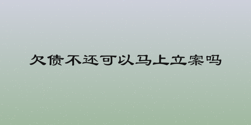 欠债不还可以马上立案吗