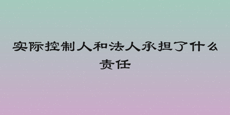 实际控制人和法人承担了什么责任