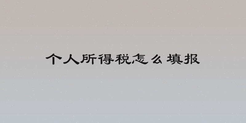 个人所得税怎么填报