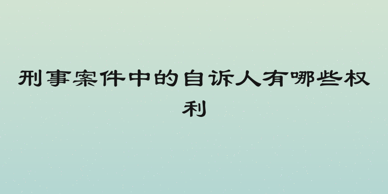 刑事案件中的自诉人有哪些权利