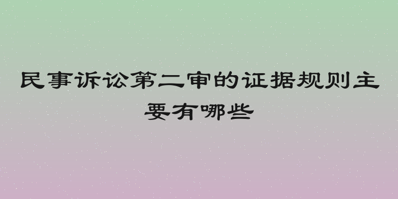 民事诉讼第二审的证据规则主要有哪些