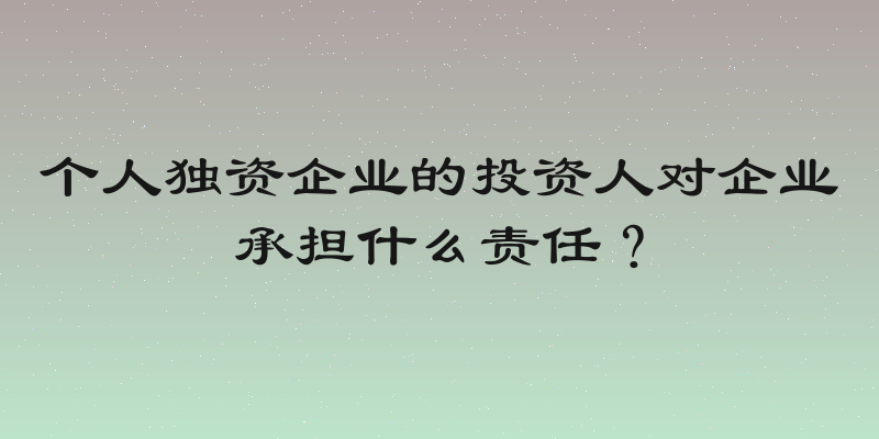 个人独资企业的投资人对企业承担什么责任？