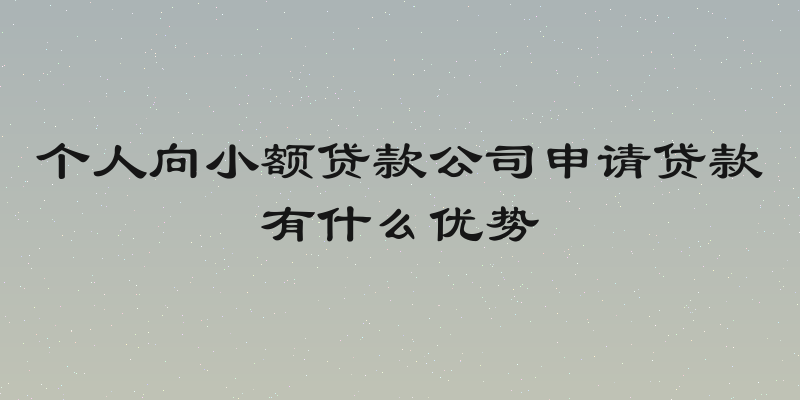 个人向小额贷款公司申请贷款有什么优势