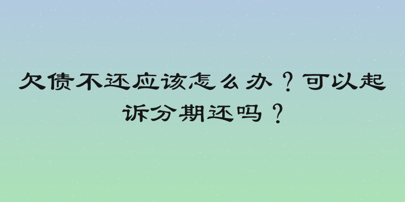 欠债不还应该怎么办？可以起诉分期还吗？