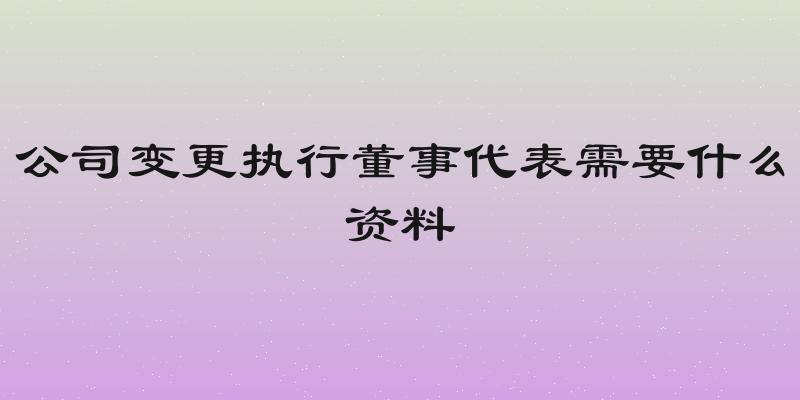 公司变更执行董事代表需要什么资料