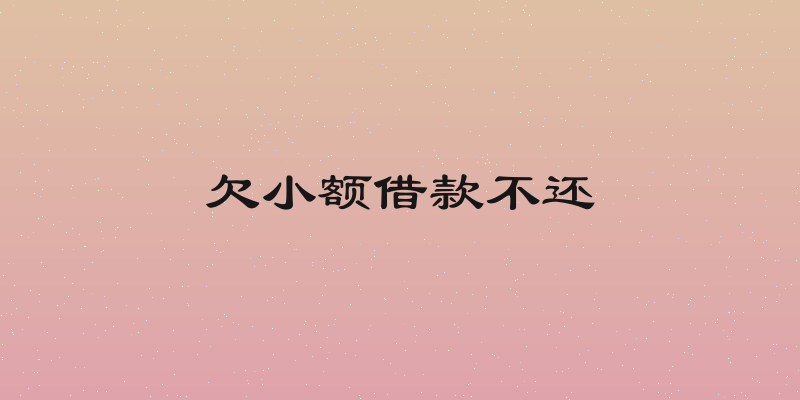 欠小额借款不还