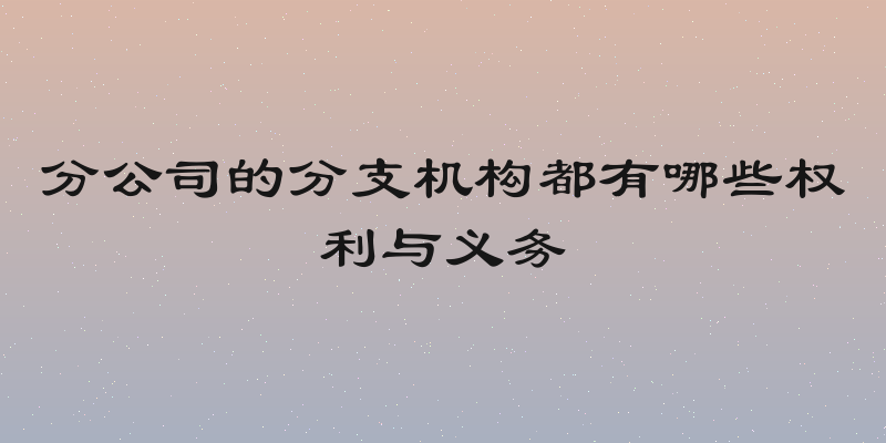 分公司的分支机构都有哪些权利与义务