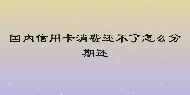 国内信用卡消费还不了怎么分期还