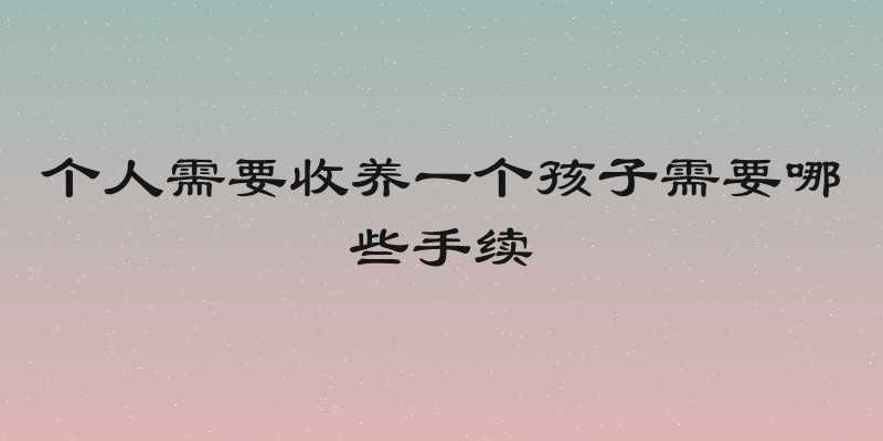 个人需要收养一个孩子需要哪些手续