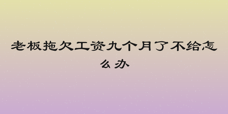 老板拖欠工资九个月了不给怎么办