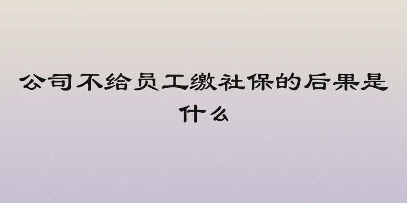 公司不给员工缴社保的后果是什么