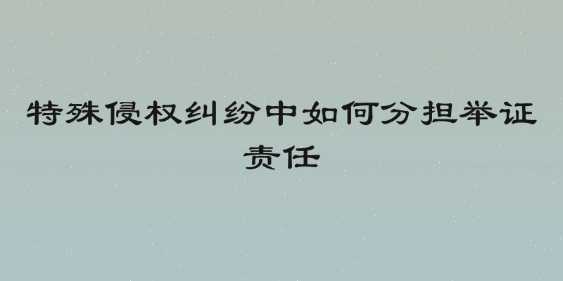 特殊侵权纠纷中如何分担举证责任
