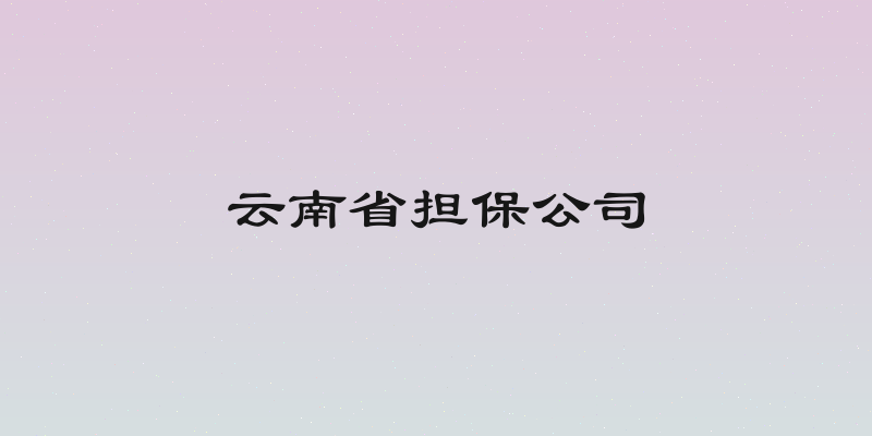 云南省担保公司