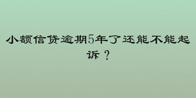 小额信贷逾期5年了还能不能起诉？