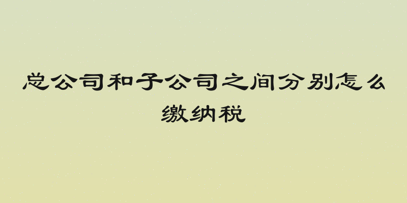 总公司和子公司之间分别怎么缴纳税