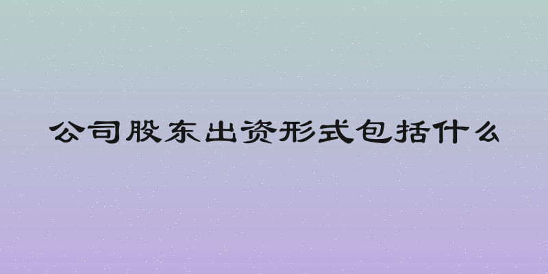 公司股东出资形式包括什么