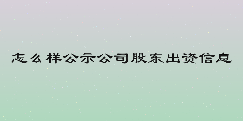 怎么样公示公司股东出资信息