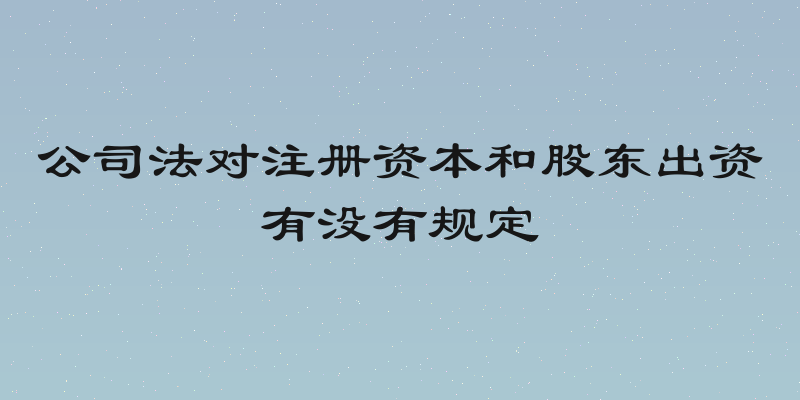公司法对注册资本和股东出资有没有规定