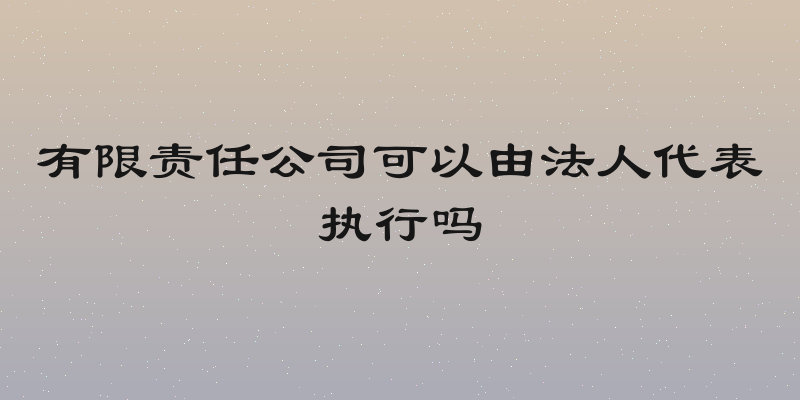 有限责任公司可以由法人代表执行吗