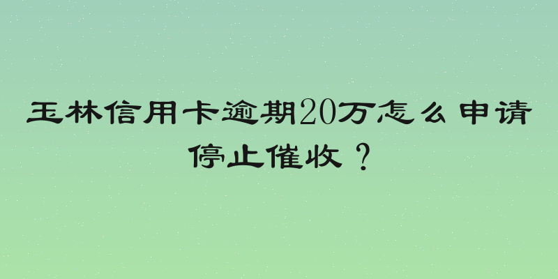 玉林信用卡逾期20万怎么申请停止催收？