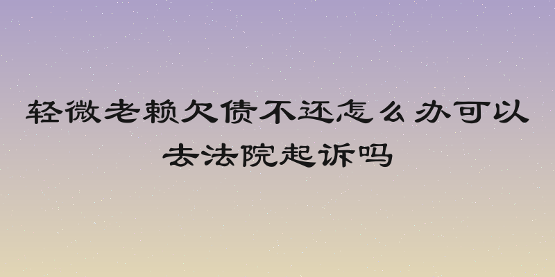 轻微老赖欠债不还怎么办可以去法院起诉吗