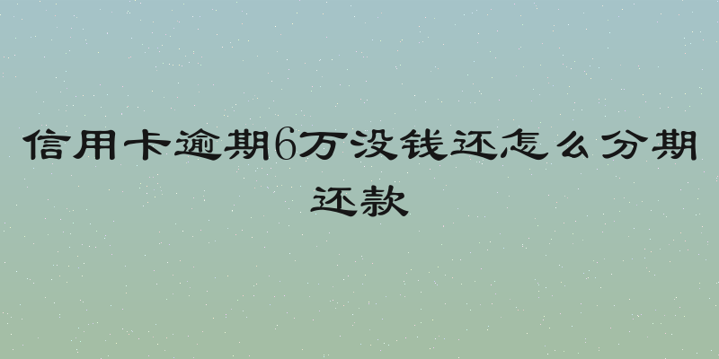 信用卡逾期6万没钱还怎么分期还款