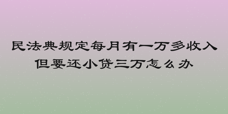 民法典规定每月有一万多收入但要还小贷三万怎么办