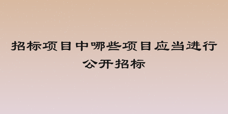 招标项目中哪些项目应当进行公开招标