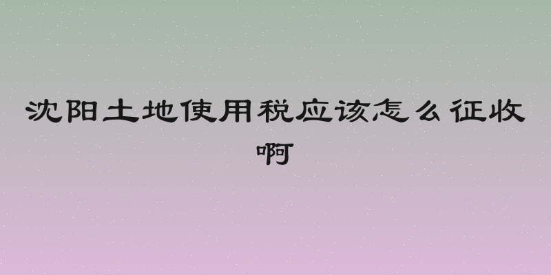 沈阳土地使用税应该怎么征收啊