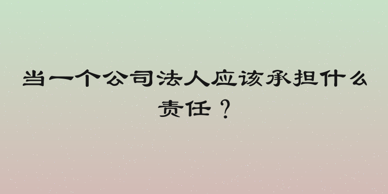当一个公司法人应该承担什么责任？