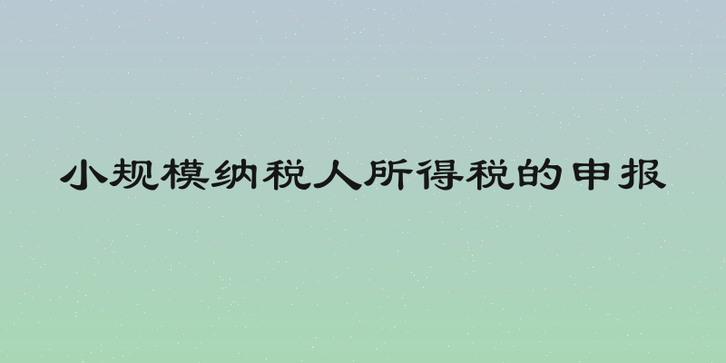小规模纳税人所得税的申报