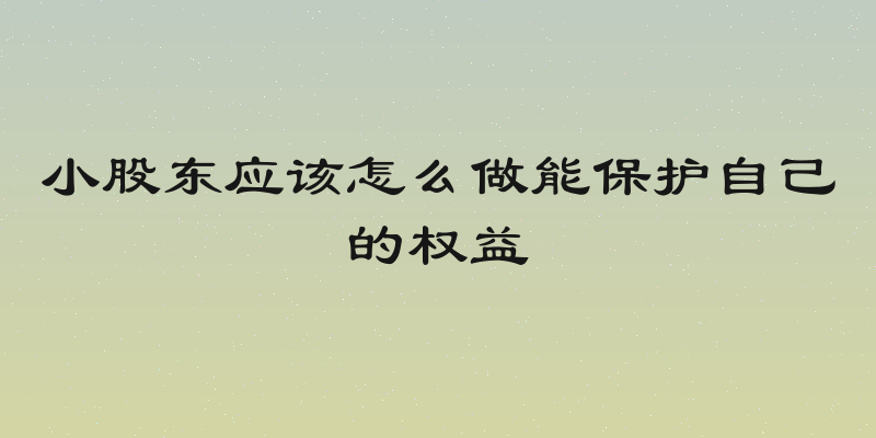 小股东应该怎么做能保护自己的权益
