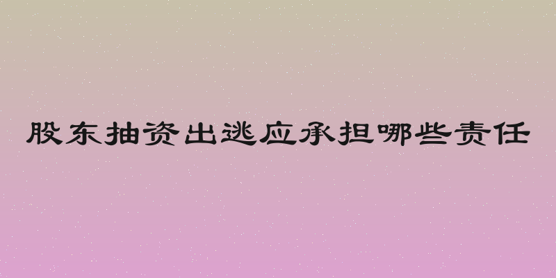 股东抽资出逃应承担哪些责任