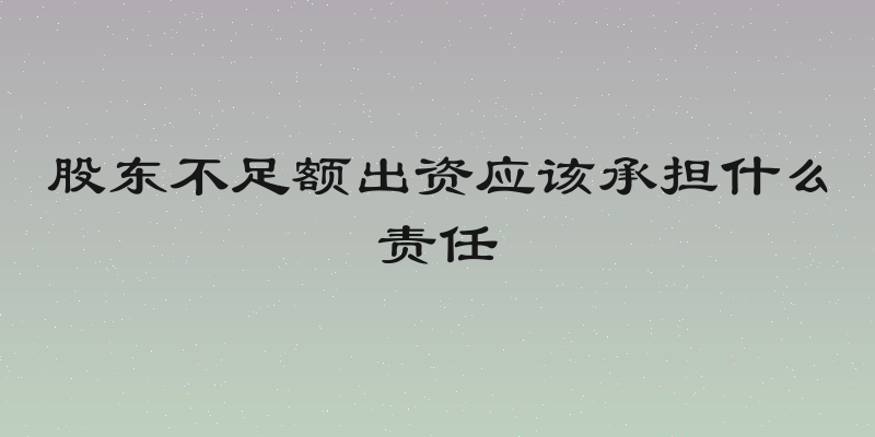 股东不足额出资应该承担什么责任