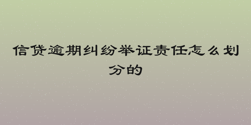 信贷逾期纠纷举证责任怎么划分的
