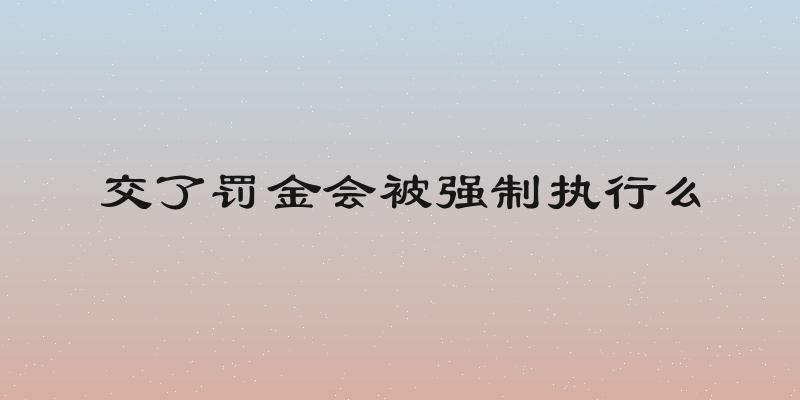 交了罚金会被强制执行么