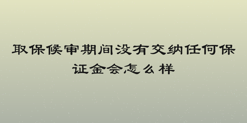 取保候审期间没有交纳任何保证金会怎么样