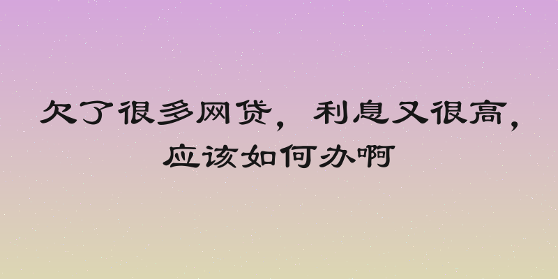 欠了很多网贷，利息又很高，应该如何办啊
