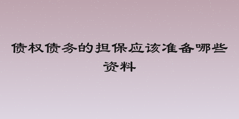 债权债务的担保应该准备哪些资料