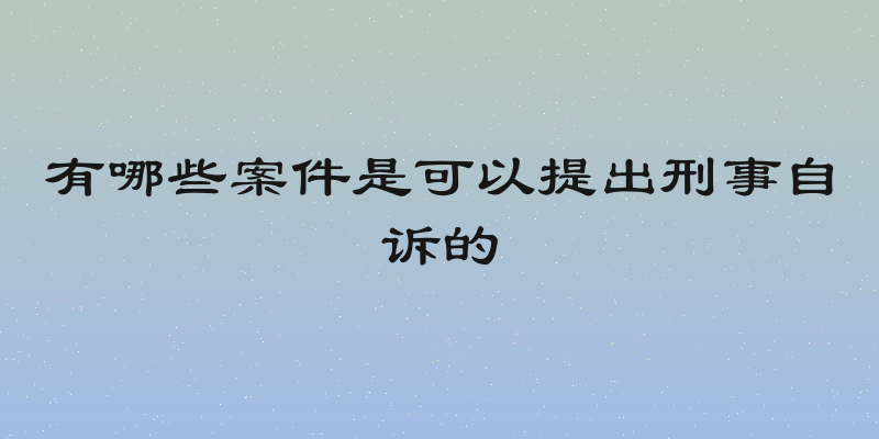 有哪些案件是可以提出刑事自诉的