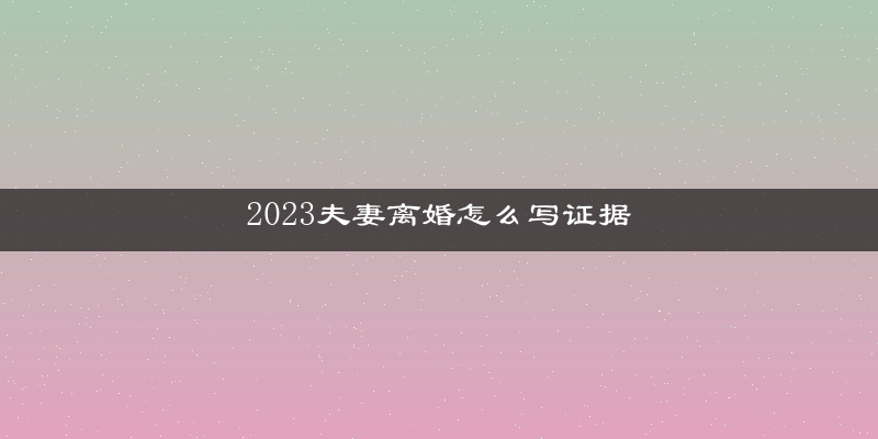 2023夫妻离婚怎么写证据