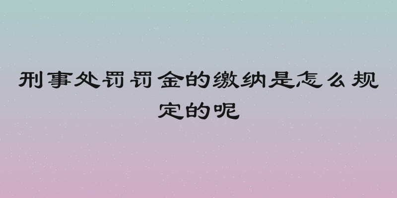 刑事处罚罚金的缴纳是怎么规定的呢
